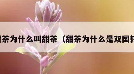 甜茶为什么叫甜茶（甜茶为什么是双国籍）