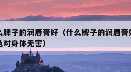什么牌子的润唇膏好（什么牌子的润唇膏好用无色对身体无害）