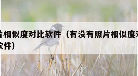 照片相似度对比软件（有没有照片相似度对比的软件）