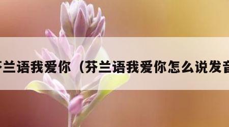 芬兰语我爱你（芬兰语我爱你怎么说发音）