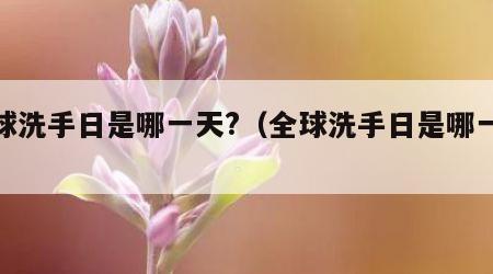 全球洗手日是哪一天?（全球洗手日是哪一天的）