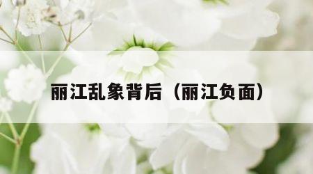 丽江乱象背后（丽江负面）