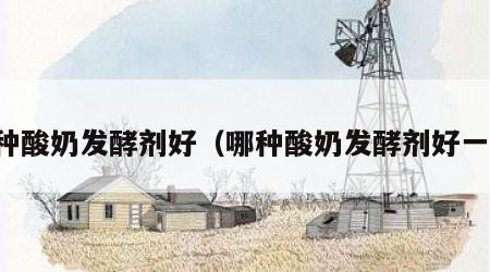 哪种酸奶发酵剂好（哪种酸奶发酵剂好一点）