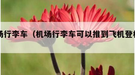 机场行李车（机场行李车可以推到飞机登机口吗）
