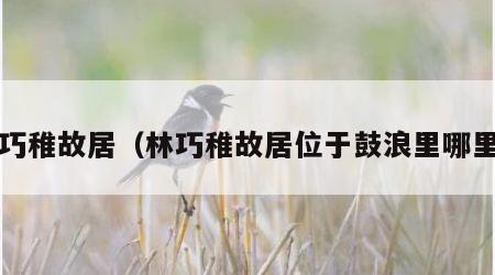 林巧稚故居（林巧稚故居位于鼓浪里哪里?）