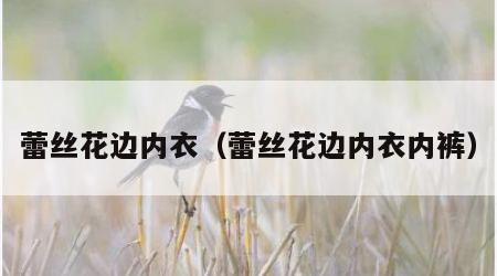 蕾丝花边内衣（蕾丝花边内衣内裤）