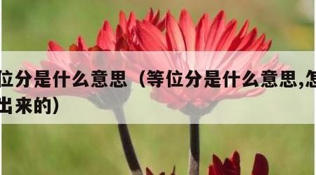 等位分是什么意思（等位分是什么意思,怎么算出来的）