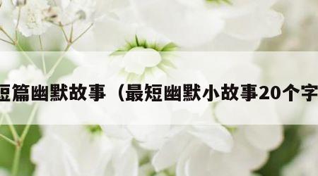短篇幽默故事（最短幽默小故事20个字）