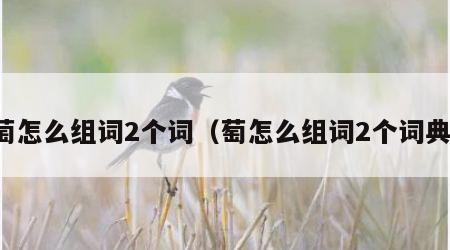 萄怎么组词2个词（萄怎么组词2个词典）