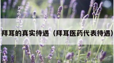 拜耳的真实待遇（拜耳医药代表待遇）