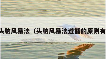 头脑风暴法（头脑风暴法遵循的原则有）