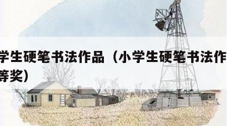 小学生硬笔书法作品（小学生硬笔书法作品 一等奖）