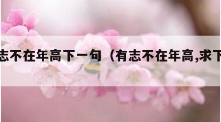 有志不在年高下一句（有志不在年高,求下联）