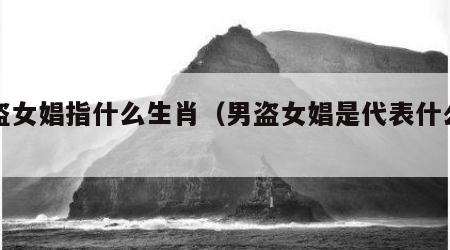 男盗女娼指什么生肖（男盗女娼是代表什么生肖）