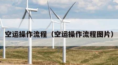 空运操作流程（空运操作流程图片）