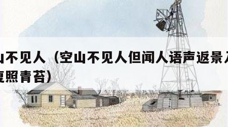 空山不见人（空山不见人但闻人语声返景入深林复照青苔）