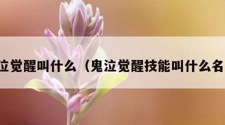 鬼泣觉醒叫什么（鬼泣觉醒技能叫什么名字）