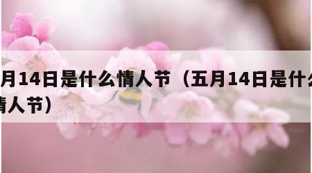 5月14日是什么情人节（五月14日是什么情人节）