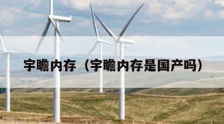宇瞻内存（宇瞻内存是国产吗）