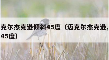 迈克尔杰克逊倾斜45度（迈克尔杰克逊,倾斜45度）