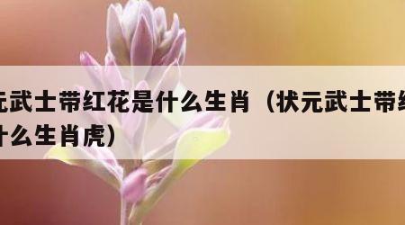 状元武士带红花是什么生肖（状元武士带红花是什么生肖虎）