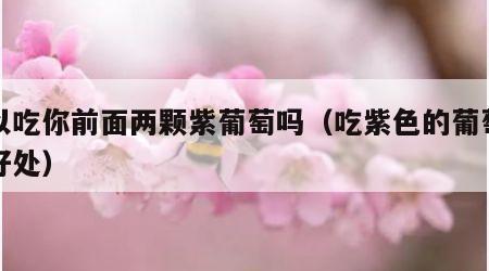可以吃你前面两颗紫葡萄吗（吃紫色的葡萄有啥好处）