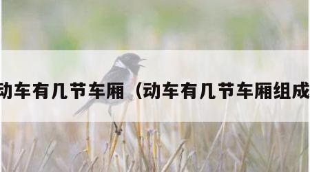 动车有几节车厢（动车有几节车厢组成）