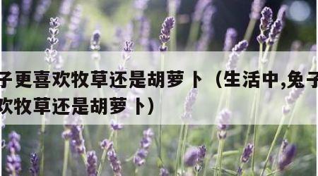 兔子更喜欢牧草还是胡萝卜（生活中,兔子更喜欢牧草还是胡萝卜）