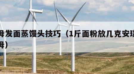 酵母发面蒸馒头技巧（1斤面粉放几克安琪干酵母）