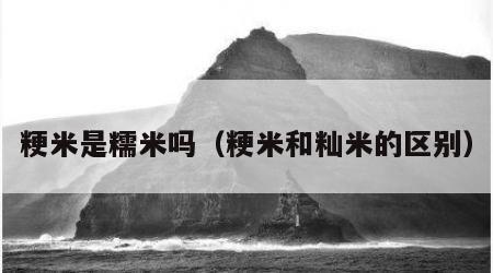 粳米是糯米吗（粳米和籼米的区别）