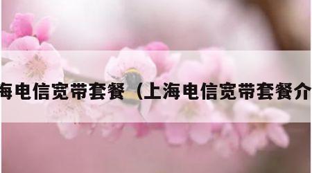 上海电信宽带套餐（上海电信宽带套餐介绍）