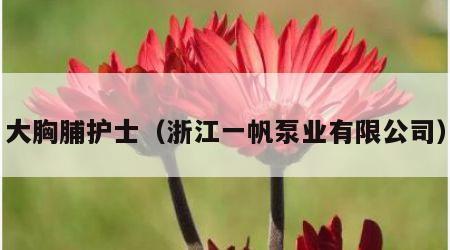 大胸脯护士（浙江一帆泵业有限公司）