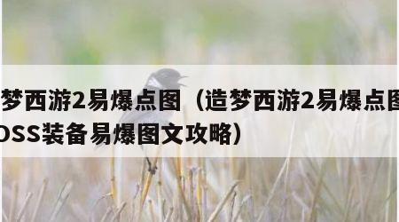 造梦西游2易爆点图（造梦西游2易爆点图_BOSS装备易爆图文攻略）