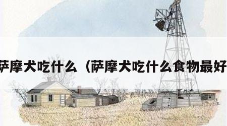 萨摩犬吃什么（萨摩犬吃什么食物最好）