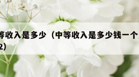中等收入是多少（中等收入是多少钱一个月2022）