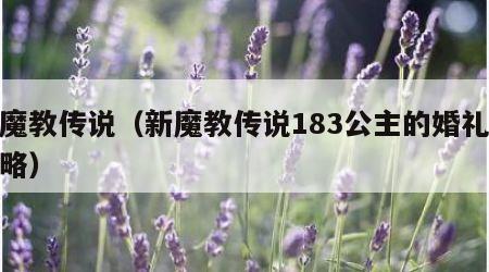 新魔教传说（新魔教传说183公主的婚礼版攻略）