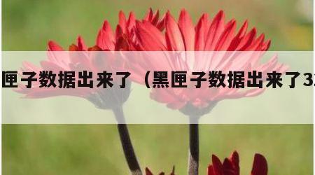 黑匣子数据出来了（黑匣子数据出来了321）