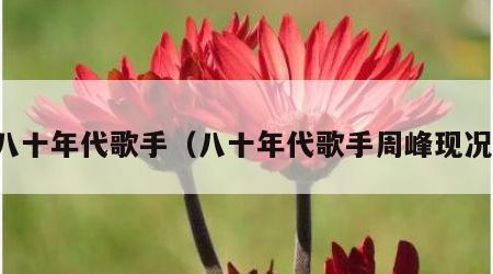 八十年代歌手（八十年代歌手周峰现况）
