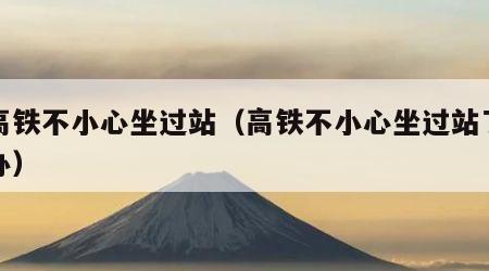 坐高铁不小心坐过站（高铁不小心坐过站了怎么办）