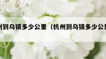 杭州到乌镇多少公里（杭州到乌镇多少公里路）