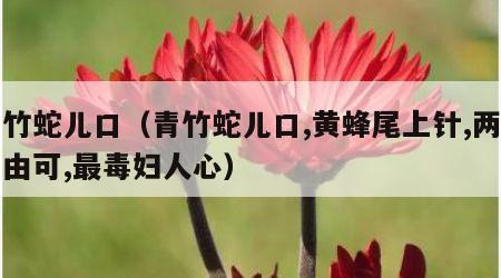 青竹蛇儿口（青竹蛇儿口,黄蜂尾上针,两般自由可,最毒妇人心）