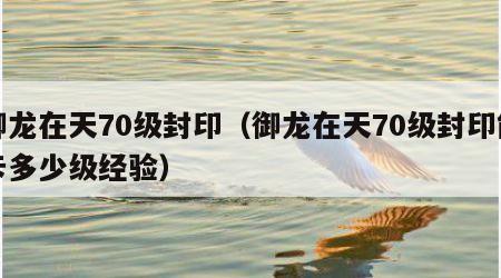 御龙在天70级封印（御龙在天70级封印能卡多少级经验）