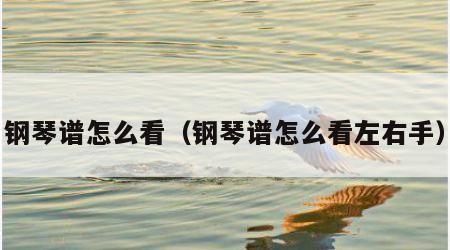 钢琴谱怎么看（钢琴谱怎么看左右手）