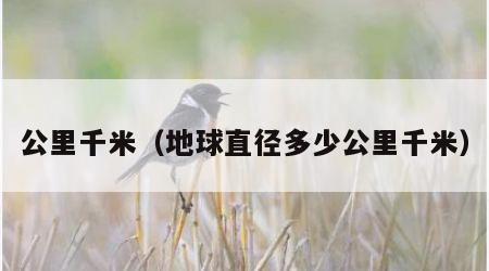 公里千米（地球直径多少公里千米）