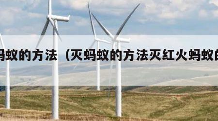 灭蚂蚁的方法（灭蚂蚁的方法灭红火蚂蚁的方法）