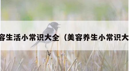美容生活小常识大全（美容养生小常识大全）