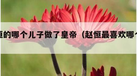 赵恒的哪个儿子做了皇帝（赵恒最喜欢哪个儿子）