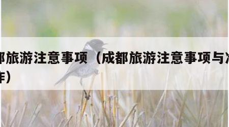 成都旅游注意事项（成都旅游注意事项与准备工作）