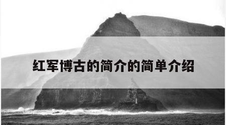 红军博古的简介的简单介绍