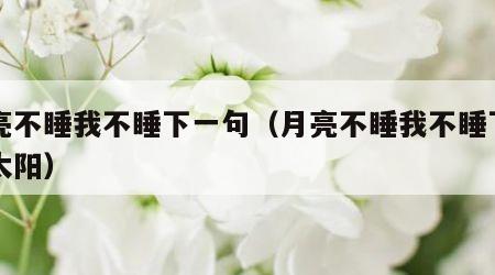 月亮不睡我不睡下一句（月亮不睡我不睡下一句太阳）